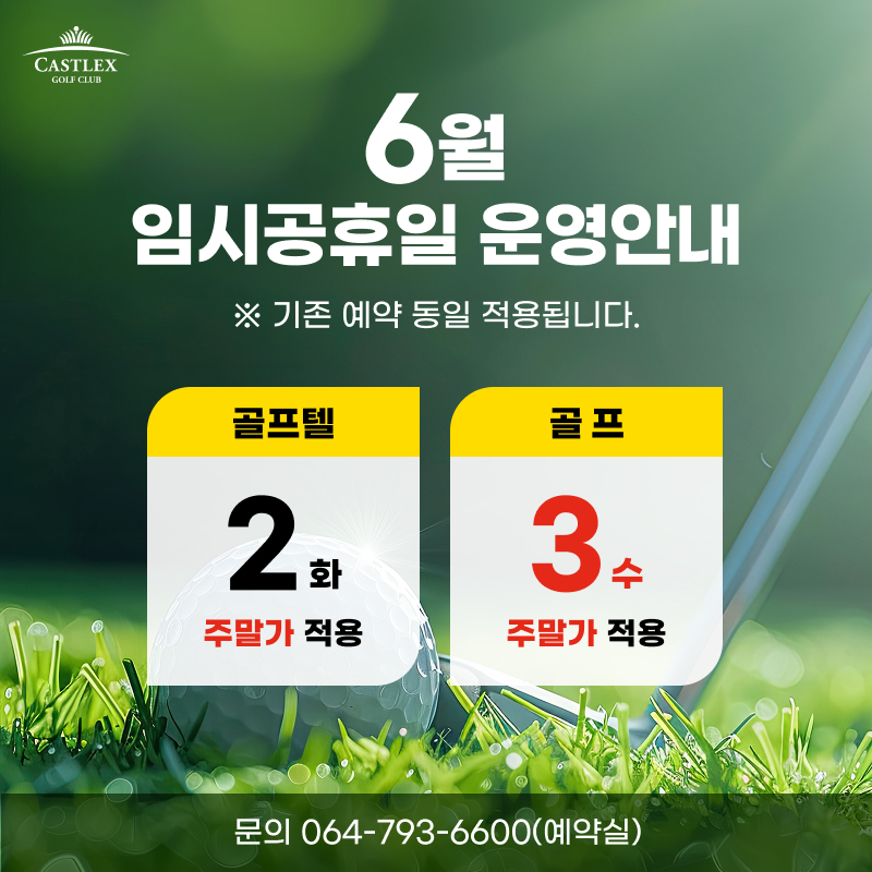 6월-임시공휴일